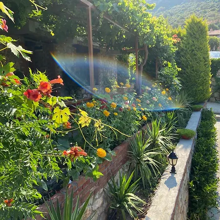 Suna House 招待所 Sogut (Aegean)