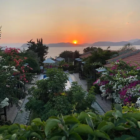 게스트하우스 Suna House Sogut (Aegean)