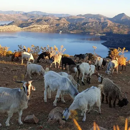 Suna House 招待所