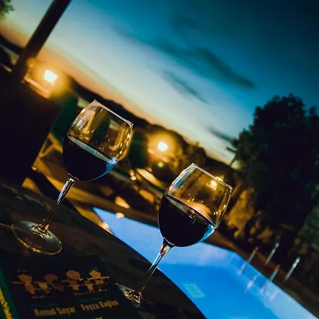 Suna House 招待所