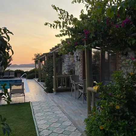 게스트하우스 Suna House Sogut (Aegean)