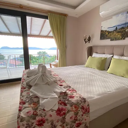 Suna House 게스트하우스 Sogut (Aegean)