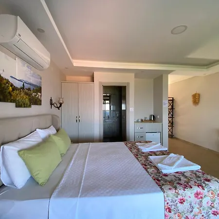 Suna House 게스트하우스 Sogut (Aegean)