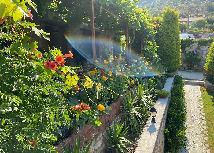 Suna House Pensjonat Sogut (Aegean)