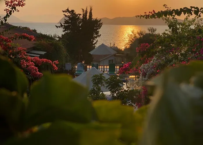 Pensjonat Suna House