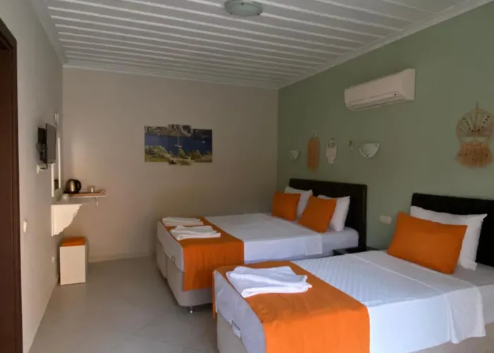 Suna House Pensjonat Sogut (Aegean)