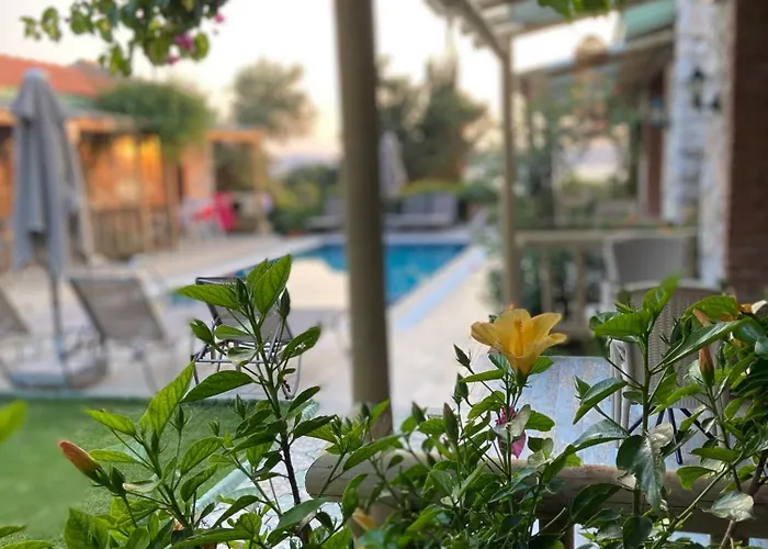 Pensjonat Suna House 4*