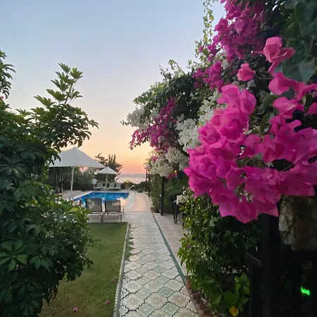 Suna House