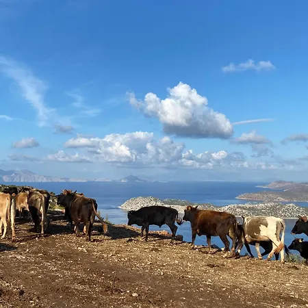 Suna House Maison d'hôtes 4*