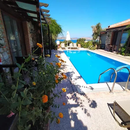 Suna House