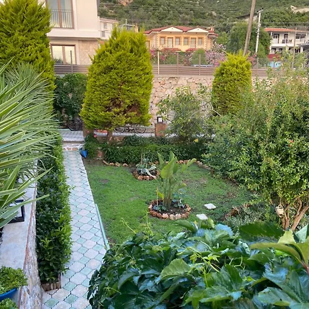 Suna House