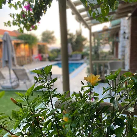 Гостевой дом Suna House 4*