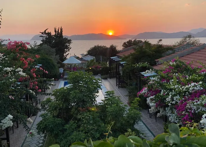 Maison d'hôtes Suna House Sogut (Aegean)