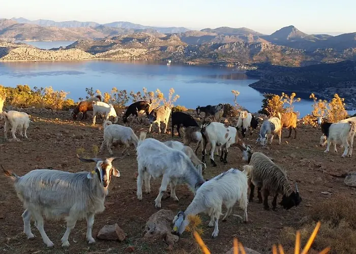 Suna House Maison d'hôtes