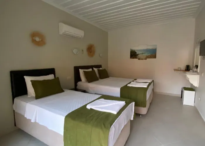 Maison d'hôtes Suna House Sogut (Aegean)