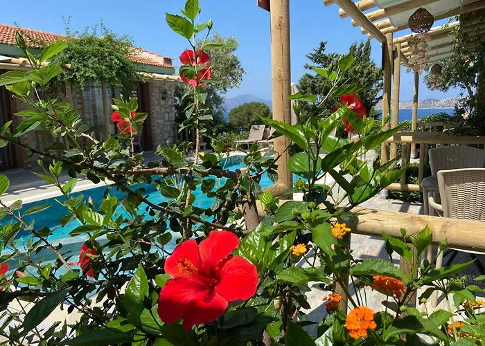 Suna House 4* Sogut (Aegean)